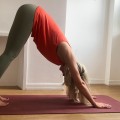 Can you get in shape from yoga?